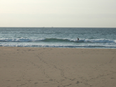 Dscf0232