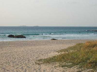 Dscf0561