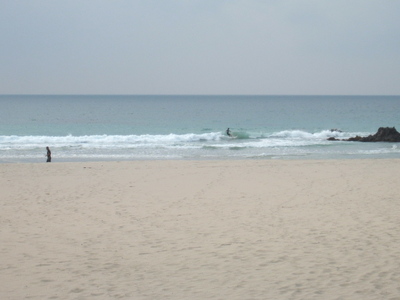 Dscf0611