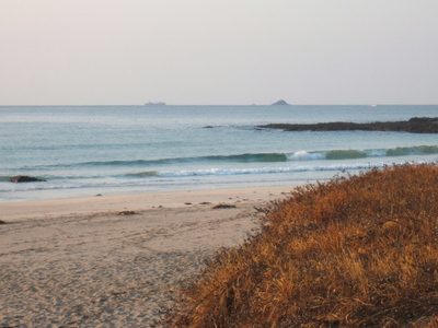 Dscf0895