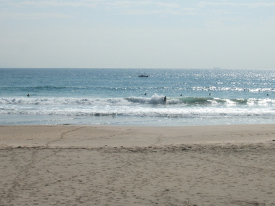 Dscf0981