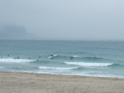 Dscf1939