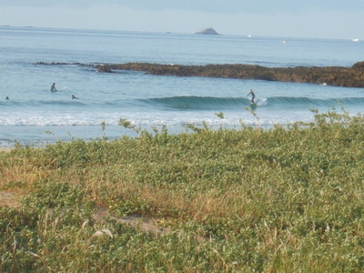 Dscf3698