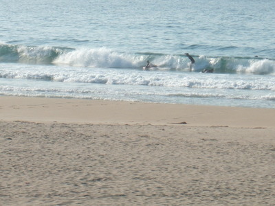 Dscf3760