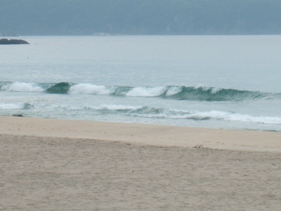 Dscf3767