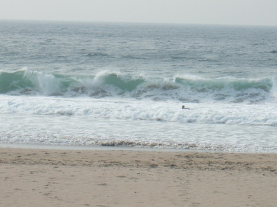 Dscf3795