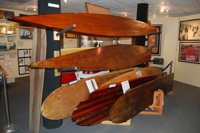 Wegener Alaia | real surf shop